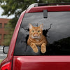 American Shorthair Cat Crack Sticker Design Cool Dot Stickers Christmas Gifts For Boyfriend - Cat Lovers die-cut waterproof vinyl sticker decal