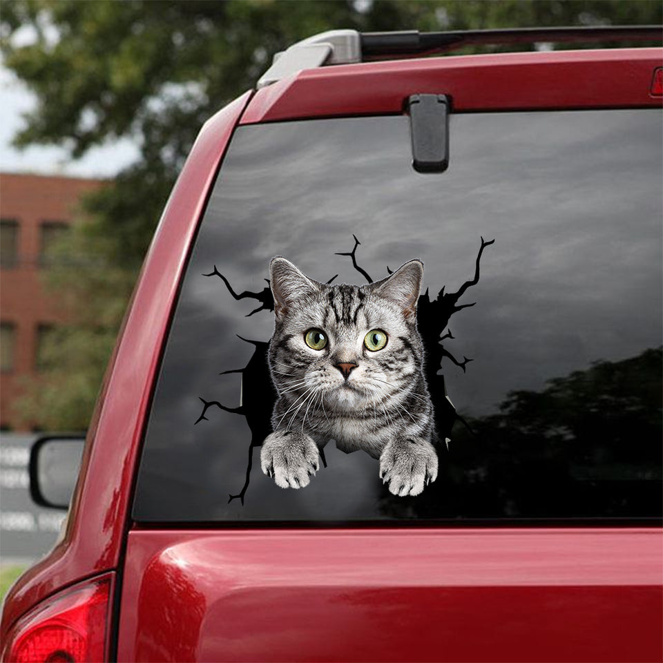 American Shorthair Cat Crack Sticker Car Window Funny Custom Bumper Stickers Dog Memorial Gifts - Dog Lovers die-cut waterproof vinyl sticker decal