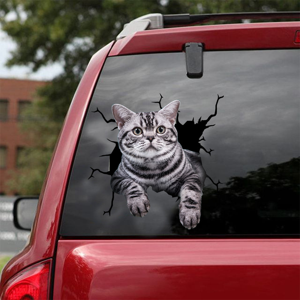 American Shorthair Cat Crack Sticker Sheets Your Cute Jeans Custom Stickers Gifts For Guys - Cat Lovers die-cut waterproof vinyl sticker decal