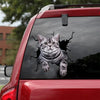 American Shorthair Cat Crack Sticker Sheets Your Cute Jeans Custom Stickers Gifts For Guys - Cat Lovers die-cut waterproof vinyl sticker decal