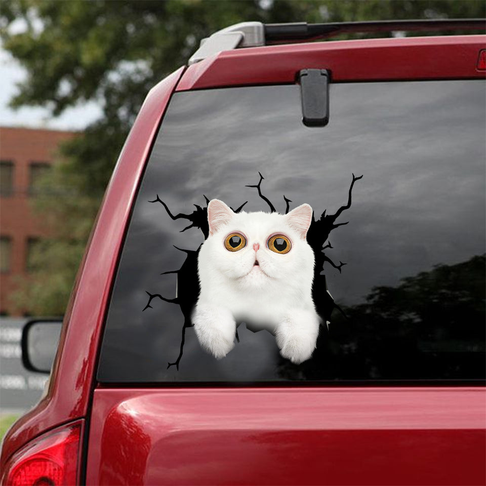 Exotic Cat Crack Decal Items The Cutest Car Sticker Beauty And The Beast Rose - Cat Lovers die-cut waterproof vinyl sticker decal
