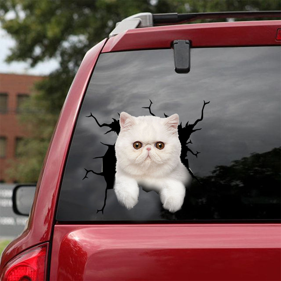 Exotic Cat Crack Sticker Design Pretty Cute Window Stickers Father's Day Gifts 2021 - Cat Lovers die-cut waterproof vinyl sticker decal