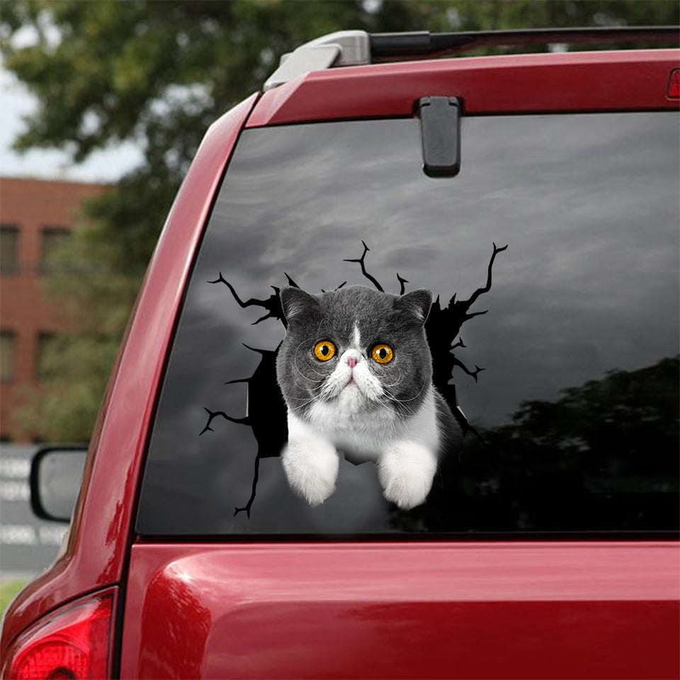 Exotic Cat Crack Bone Sticker Kawaii Dot Stickers Best Friend Gifts - Cat Lovers die-cut waterproof vinyl sticker decal