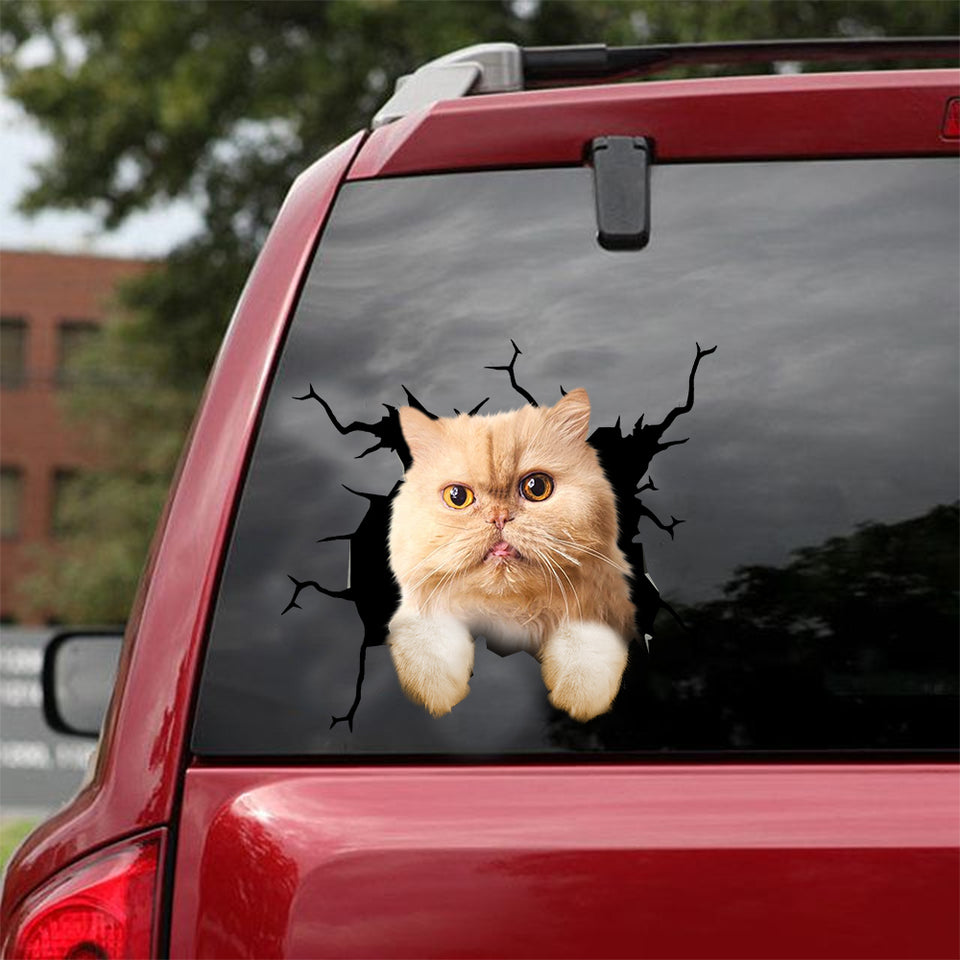 Exotic Cat Crack Sticker Cute Fun Vehicle Decals 9 Year Anniversary Gift - Cat Lovers die-cut waterproof vinyl sticker decal