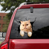 Exotic Cat Crack Sticker Cute Fun Vehicle Decals 9 Year Anniversary Gift - Cat Lovers die-cut waterproof vinyl sticker decal