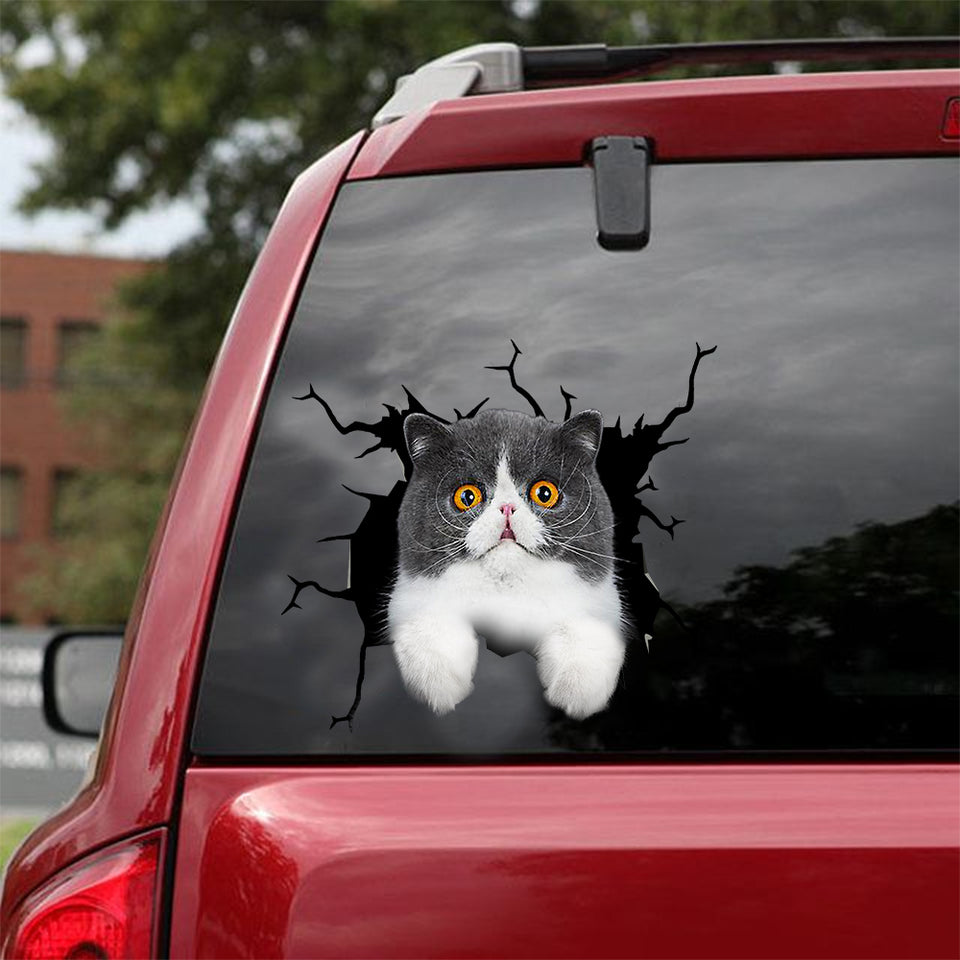 Exotic Cat Crack Decal Sticker Car Likeable Sticker Label Maker Unique Birthday Gifts For Him - Cat Lovers die-cut waterproof vinyl sticker decal