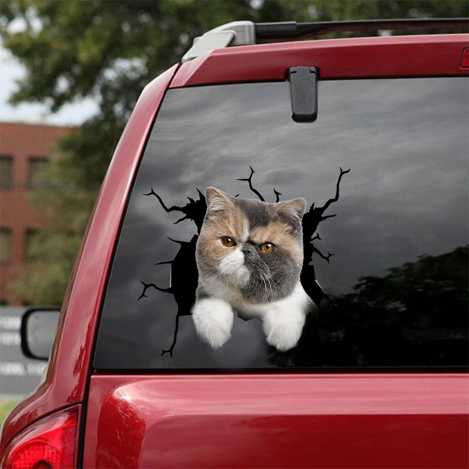 Exotic Cat Crack Duck Decal Kawaii Number Stickers Birthday Gift For Girlfriend - Cat Lovers die-cut waterproof vinyl sticker decal