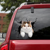 Exotic Cat Crack Decals For Cars Funny Memes Custom Sticker Maker Gifts For Girlfriend - Cat Lovers die-cut waterproof vinyl sticker decal