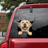 Labrador Crack Decals Likeable Laptop Stickers Anniversary Gifts For Him - Dog Lovers die-cut waterproof vinyl sticker decal