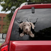 Labrador Crack Sticker Custom Likeable Vinyl Graphics Anniversary Gifts For Her - Dog Lovers die-cut waterproof vinyl sticker decal