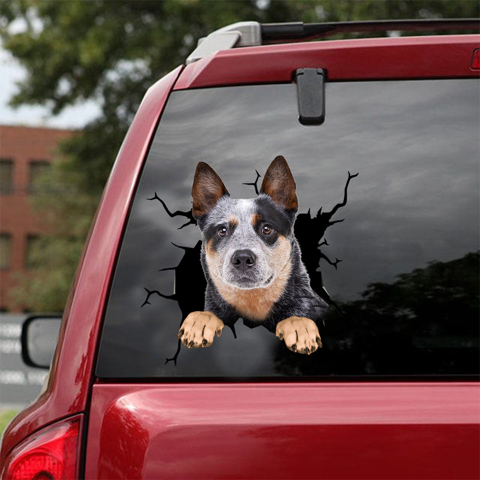 [dt0773-snf-tnt]-australian-cattle-dog-crack-car-sticker-dog-lovers