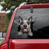 Australian Cattle Dog Crack Decal Car The Cutest Custom Die Cut Stickers Boyfriend Valentines Day Gifts - Dog Lovers die-cut waterproof vinyl sticker decal