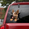 Australian Cattle Dog Crack Sticker Custom Cuteness Overloaded Dot Stickers Mother's Day Gifts Amazon - Dog Lovers die-cut waterproof vinyl sticker decal