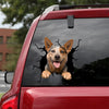 Australian Cattle Dog Crack Stickers For Scrapbooking Cute Custom Sticker Sheets Christmas Gift Box - Dog Lovers die-cut waterproof vinyl sticker decal