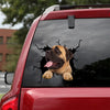[dt0790-snf-tnt]-english-mastiff-crack-car-sticker-dog-lovers