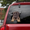 [dt0792-snf-tnt]-english-mastiff-crack-car-sticker-dog-lovers