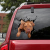 [dt0829-snf-tnt]-dogue-de-bordeaux-crack-car-sticker-dog-lovers