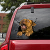 [dt0830-snf-tnt]-dogue-de-bordeaux-crack-car-sticker-dog-lovers