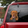 [dt0832-snf-tnt]-dogue-de-bordeaux-crack-car-sticker-dog-lovers