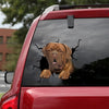 [dt0833-snf-tnt]-dogue-de-bordeaux-crack-car-sticker-dog-lovers