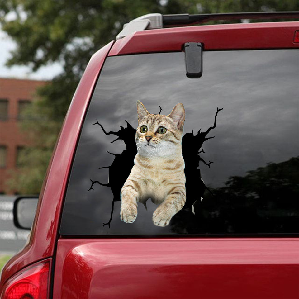 [dt0843-snf-tnt]-munchkin-cat-crack-car-sticker-cat-lovers