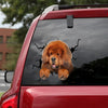 Tibetan Mastiff Crack Sticker Cute Funny Pictures Dot Stickers Groomsmen Gifts - Dog Lovers die-cut waterproof vinyl sticker decal