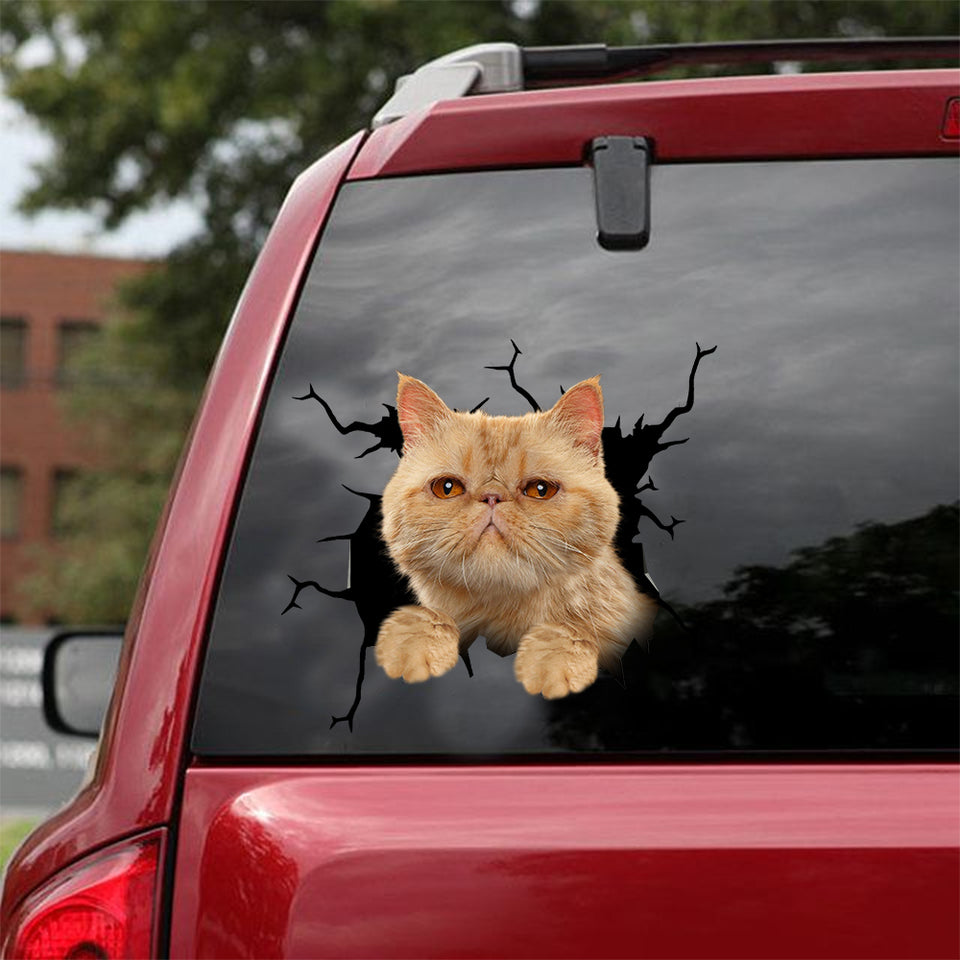 Exotic Cat Crack Sticker For Back Window Wiper Funny Avery Sticker Paper New Dad Gifts - Cat Lovers die-cut waterproof vinyl sticker decal