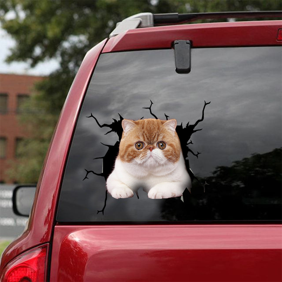 Exotic Cat Crack Sticker Chart You Cute Stickers Gift For Mother - Cat Lovers die-cut waterproof vinyl sticker decal