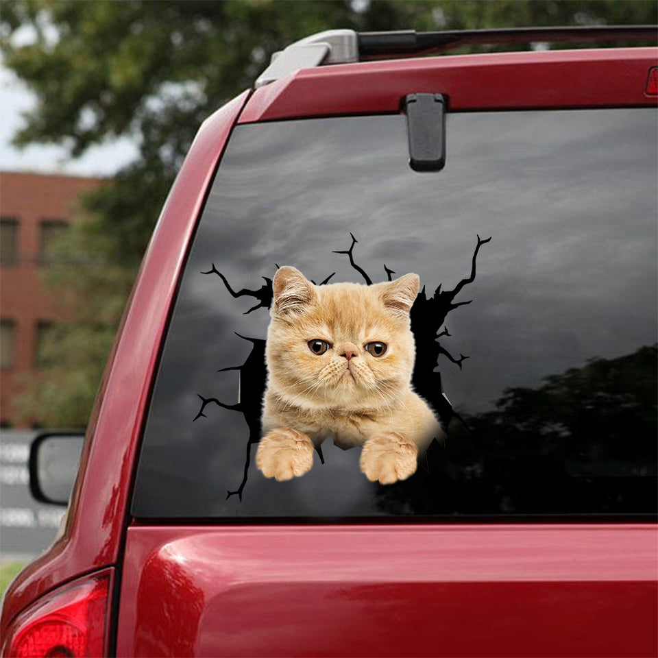 Exotic Cat Crack Sticker Design Funny Quotes Vehicle Decals Cool Christmas Gifts - Cat Lovers die-cut waterproof vinyl sticker decal