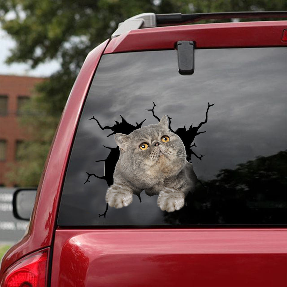 Exotic Cat Crack Sticker Sheets Funny Decal Best Friend Gifts - Cat Lovers die-cut waterproof vinyl sticker decal