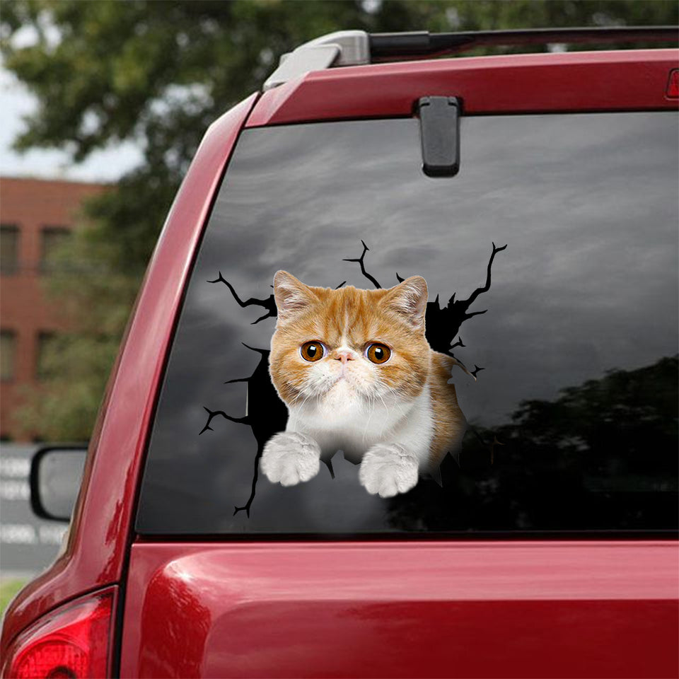 Exotic Cat Crack Sticker Car Lovely Car Bumper Stickers Birthday Gift Ideas For Him - Cat Lovers die-cut waterproof vinyl sticker decal