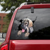 Spanish Mastiff Crack Decor Decal Humor Vinyl Stickers For Cars 25th Anniversary Gifts - Dog Lovers die-cut waterproof vinyl sticker decal