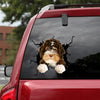 Bernedoodle Crack Sticker Kawaii Funny Memes Vinyl Stickers For Cars Gifts For Hunters - General die-cut waterproof vinyl sticker decal