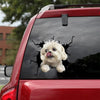 Lhasa Apso Crack Sticker Decals Your Cute Stickers Anniversary Gifts For Her - Dog Lovers die-cut waterproof vinyl sticker decal