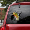 Peacock Bass Crack Decal For Car Funny Bee Stickers Unique Gifts For Men - Fishing die-cut waterproof vinyl sticker decal