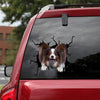 Papillon Crack Decal For Rear Window Wiper Funny Pictures Transparent Sticker Christmas Gifts 2021 - Dog Lovers die-cut waterproof vinyl sticker decal