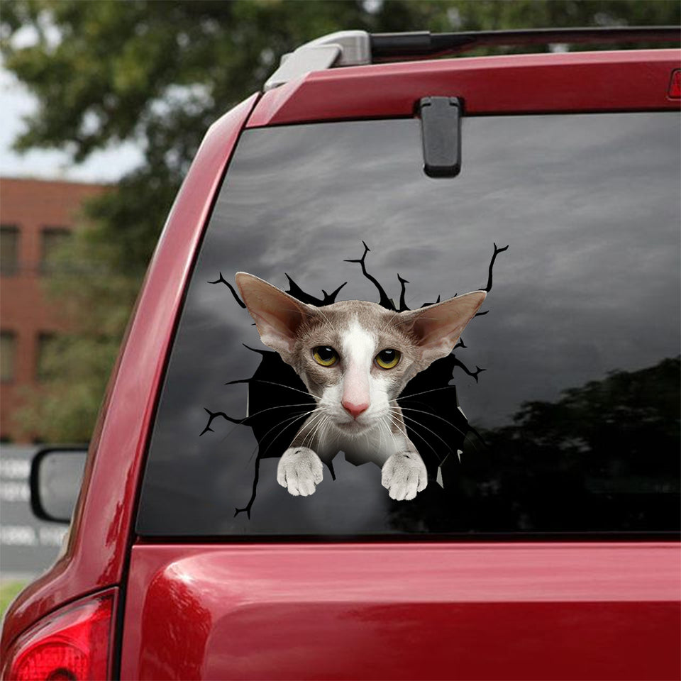 Oriental Shorthair Cat Crack Sticker Ideas Cool Car Decals Stuffers - Cat Lovers die-cut waterproof vinyl sticker decal