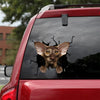 Oriental Shorthair Cat Crack Sticker Decals Funny Pictures Custom Car Window Decals Cool Gifts - Cat Lovers die-cut waterproof vinyl sticker decal