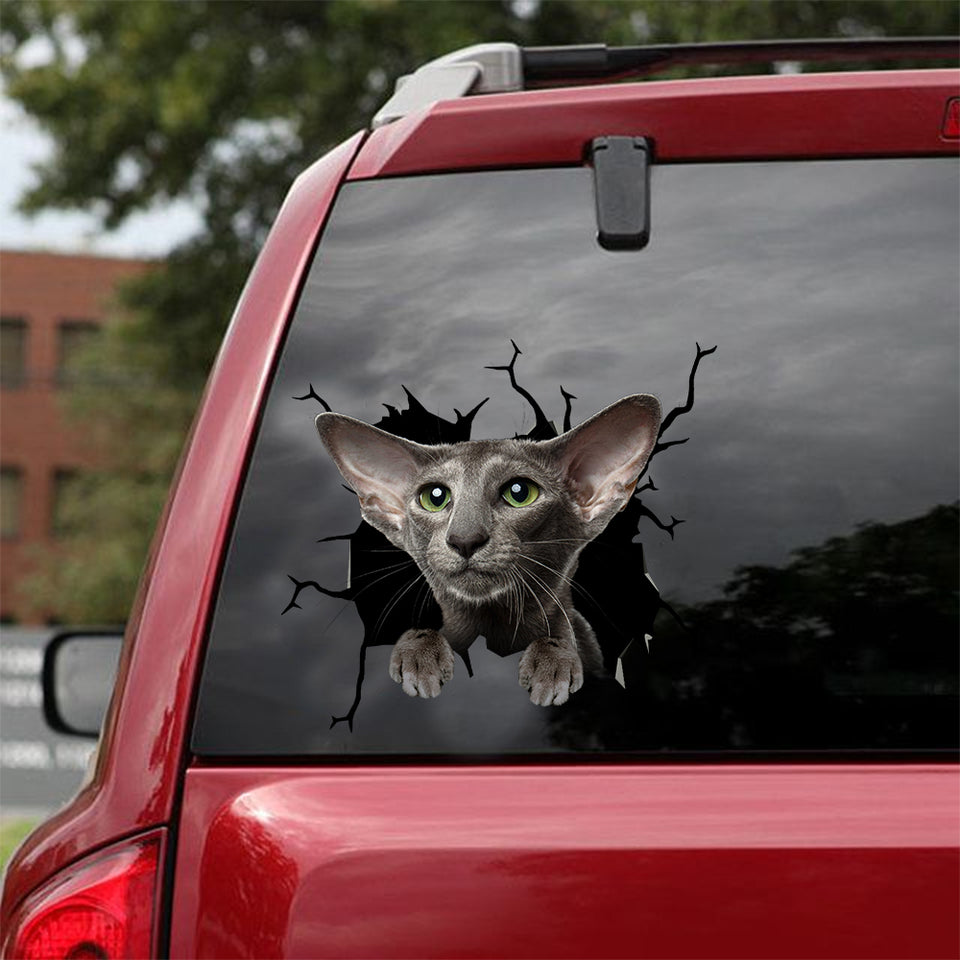 Oriental Shorthair Cat Crack Sticker Design Super Cute Window Decals For Business Cool Christmas Gifts - Cat Lovers die-cut waterproof vinyl sticker decal