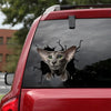 Oriental Shorthair Cat Crack Sticker Design Super Cute Window Decals For Business Cool Christmas Gifts - Cat Lovers die-cut waterproof vinyl sticker decal