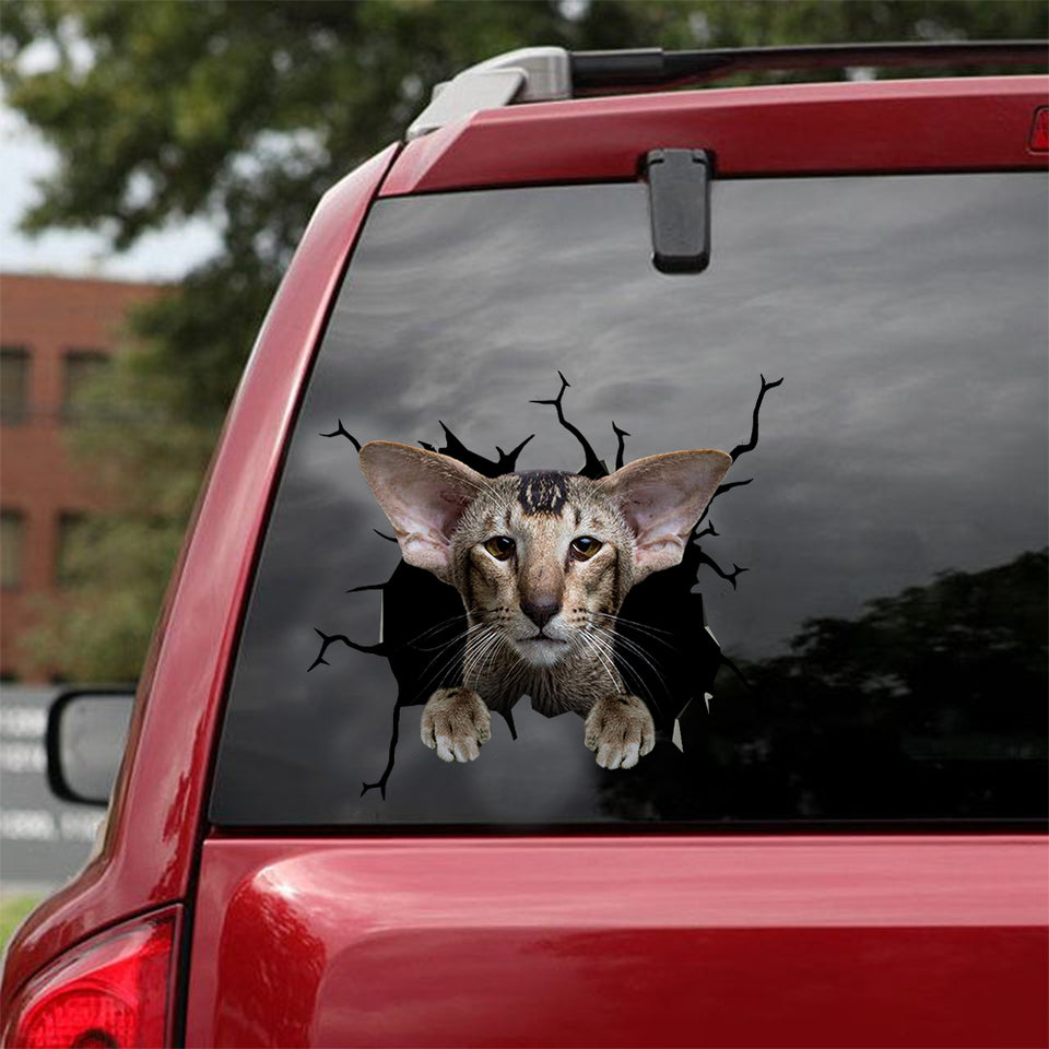 Oriental Shorthair Cat Crack Decals For Walls Funny Jokes Stickers Anniversary Gifts - Cat Lovers die-cut waterproof vinyl sticker decal
