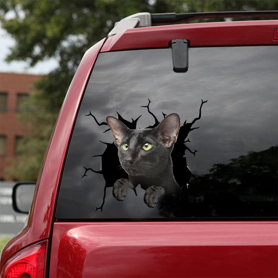 Oriental Shorthair Cat Crack Decals For Windows Cute Bee Stickers Best Gift For Girlfriend - Cat Lovers die-cut waterproof vinyl sticker decal