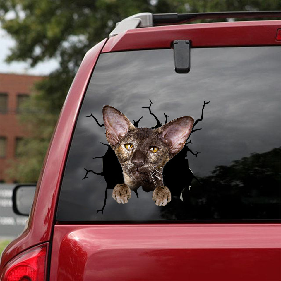 Oriental Shorthair Cat Crack Decal Sticker Car Hot Window Stickers Gifts For Nurses - Cat Lovers die-cut waterproof vinyl sticker decal