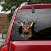 Oriental Shorthair Cat Crack Sticker For Car Window Nice Car Decals Engraved Gifts - Cat Lovers die-cut waterproof vinyl sticker decal