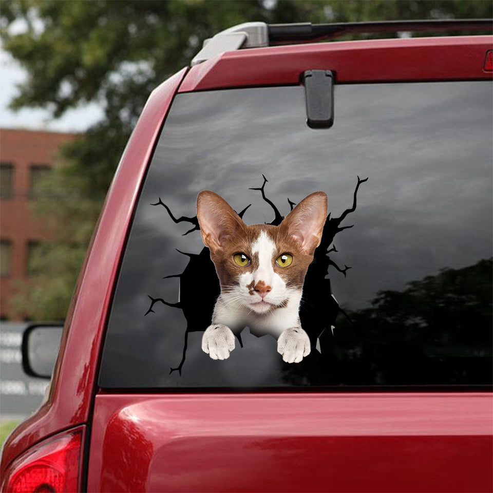 Oriental Shorthair Cat Crack Sticker Emoji Lovely Vinyl Stickers Gifts For Bakers - Cat Lovers die-cut waterproof vinyl sticker decal