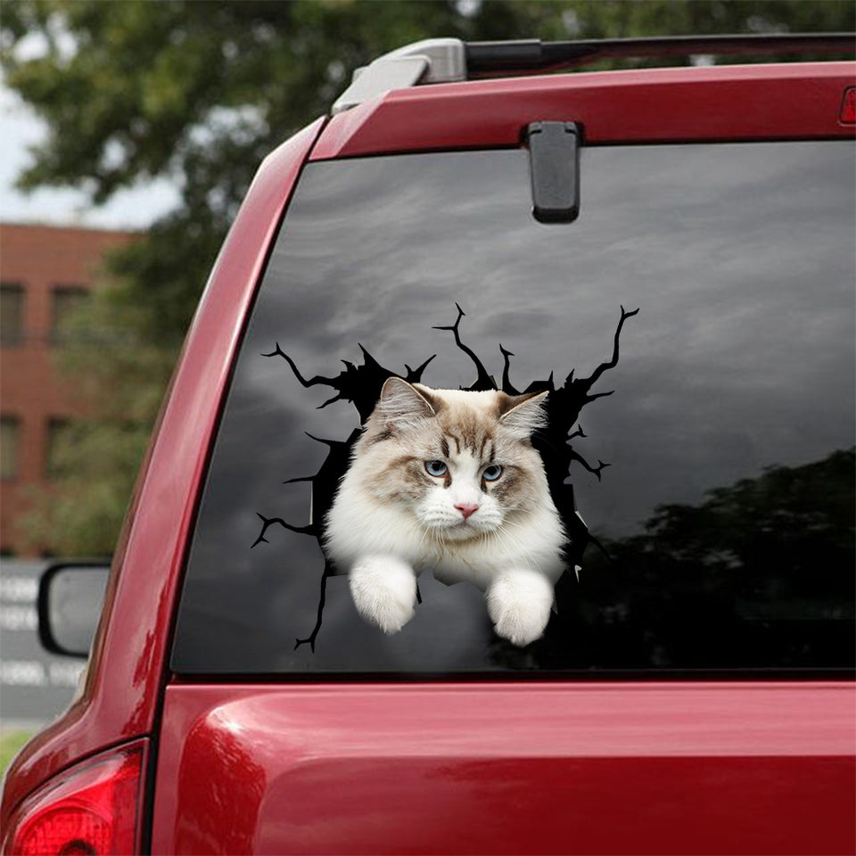 Ragamuffin Cat Crack Decal For Back Car Window Be Cute Car Decal Stickers Best Mother's Day Gifts 2021 - Cat Lovers die-cut waterproof vinyl sticker decal