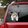 Ragamuffin Cat Crack Decal For Back Car Window Be Cute Car Decal Stickers Best Mother's Day Gifts 2021 - Cat Lovers die-cut waterproof vinyl sticker decal
