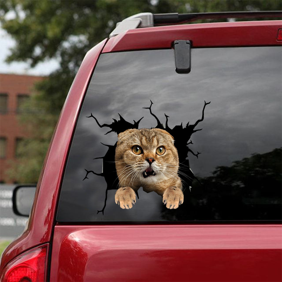[dt0983-snf-tnt]-scottish-fold-cat-crack-car-sticker-cat-lovers