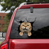 [dt0984-snf-tnt]-scottish-fold-cat-crack-car-sticker-cat-lovers