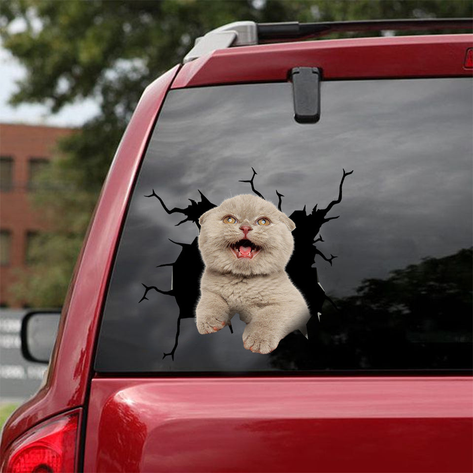 [dt0989-snf-tnt]-scottish-fold-cat-crack-car-sticker-cat-lovers